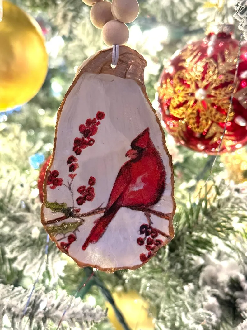 Cardinal on Oyster Shell, photo 4