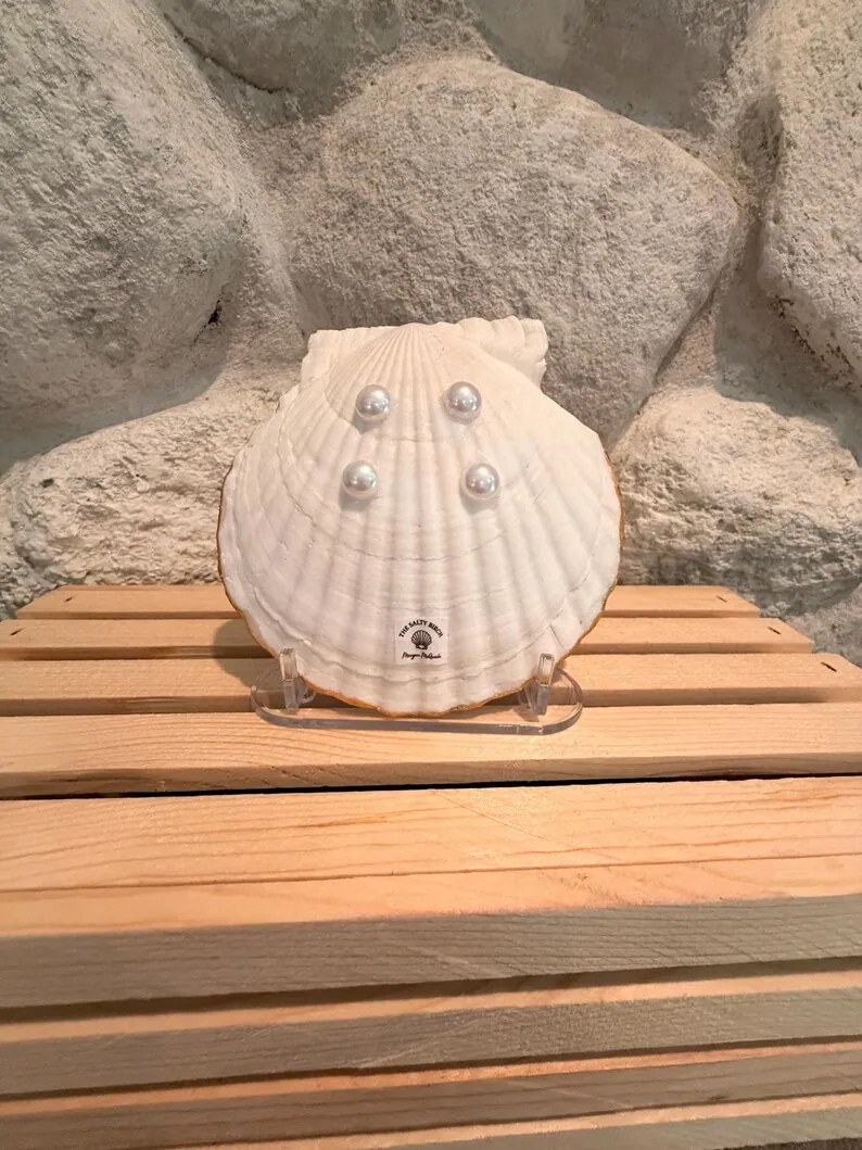 Wild Flower Shell Dish / Display, photo 4