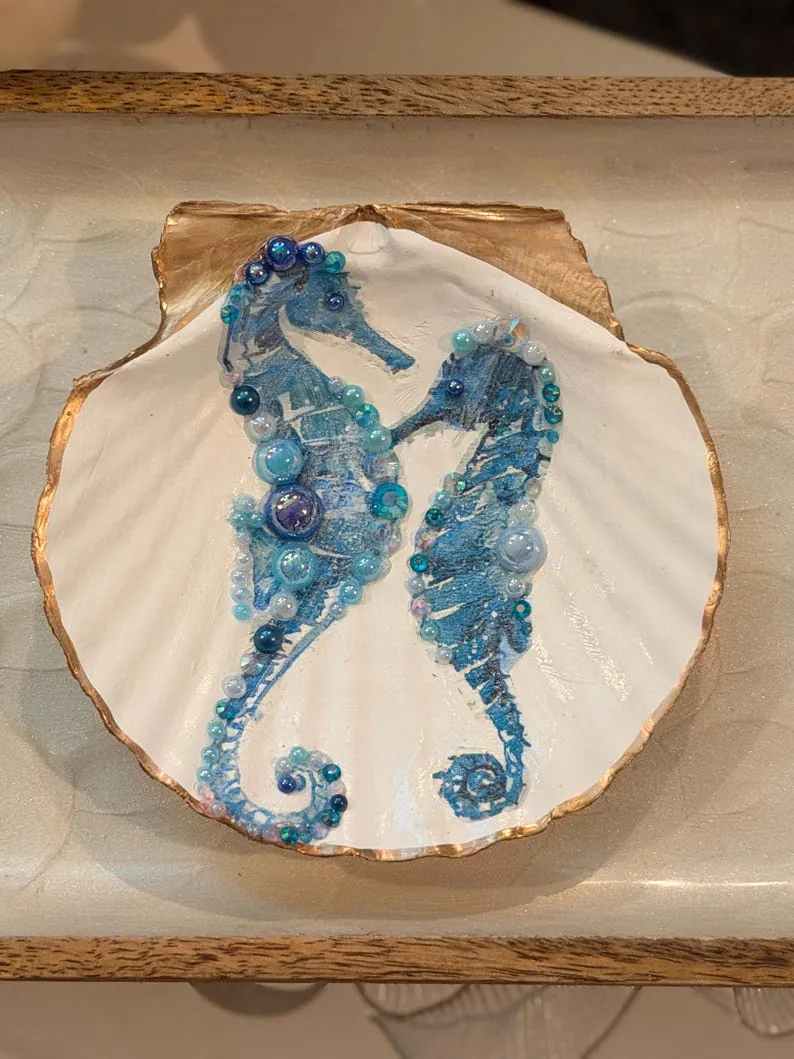 Coastal Display Shells, photo 4